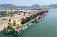 龙山三号集装箱码头的建成将助力清化省飞跃式发展