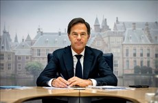 荷兰首相即将对越南进行正式访问