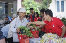 越南承办第十一届亚太地区红十字与红新月国际会议