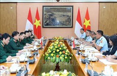 第三次越南-印尼国防政策对话在河内召开