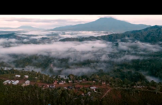 印度尼西亚加强林地管理工作
