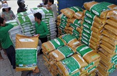 柬埔寨首次向印度尼西亚出口精米