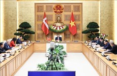 越南驻丹麦大使尼古拉·普里茨：推动两国合作关系迈上新高度