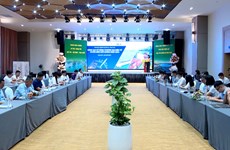 广宁省大力发展电子商务 全面推进数字化转型