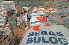 印尼力争2028年成为全球粮仓