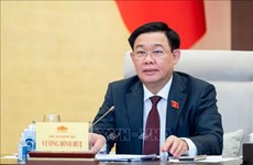 越南国会主席王廷惠感谢比利时众议院通过决议呼吁支持越南橙剂受害者