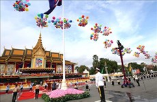 越南党、国家和政府庆祝柬埔寨王国独立70周年