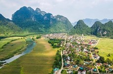 新化村——越南唯一荣获“世界最佳旅游村”称号的村庄