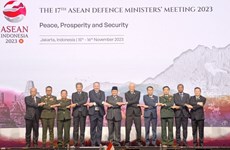 东盟致力促进地区和平、繁荣与安全   越南主动做出积极贡献