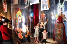 庆祝越南23·11遗产日系列文化活动精彩纷呈