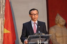 越南驻丹麦大使梁青毅：越丹关系取得实质成果