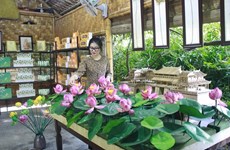 越南宁平省大力开发与莲花制品相结合的旅游线路 
