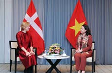 越南国家副主席武氏映春会见丹麦越南友好协会