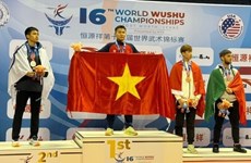 越南武术选手在世锦赛上表现出色 拿下5金3银3铜