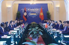 第十次越老外交部部长级政治磋商会议在越南举行