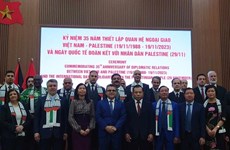越南坚定支持巴勒斯坦人民的正义斗争和基本民族权利