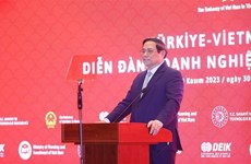 越南政府总理范明政出席越南-土耳其企业论坛