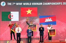 2023年第七届世界越武道锦标赛：越南队奖牌排名第一