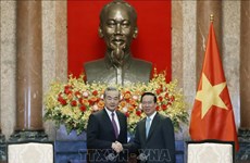越南国家主席武文赏会见中国外交部长王毅