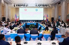 湄公河次区域国家落实《东盟跨界雾霾污染协定》第十二次部长级会议在越南举行 