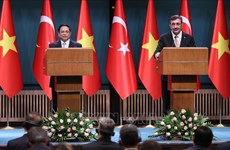 杜雄越副部长：越南是土耳其和阿联酋在东盟的主要合作伙伴