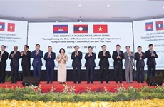 越南国会主席王廷惠出席第一届柬老越三国国会高层会议开幕式并发表讲话