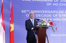胡志明市希望为促进越南与印度尼西亚关系作出贡献