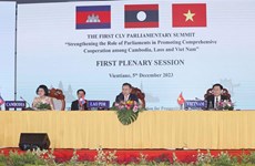越南国会主席王廷惠老挝、泰国之行取得丰硕成果