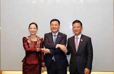 越南与柬埔寨促进经贸领域合作
