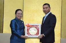 促进岘港市与老挝中南部省份的有效合作