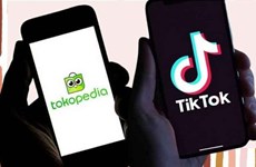 印尼政府允许TikTok与Tokopedia测试合作模式