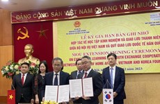 促进越南与韩国青年之间的交流与合作