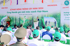 本田（越南）在永福省开展植树活动