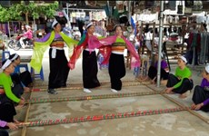 和平省枚州县泰族同胞的传统杵槽舞