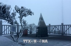 老街省番西邦峰出现霜冻现象