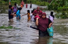 泰国南部洪水造成至少6人死亡