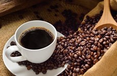 越南对德国咖啡出口量额双增