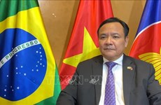 越南驻巴西大使：巴西注重推动与越南双边关系