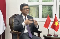 印度尼西亚驻越南大使：深化越南与印尼的战略伙伴关系
