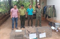 平福省平隆市公安局将多只野生动物移交给布亚摩国家公园