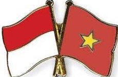 外交部例行记者会：促进越南与印尼传统友好、战略伙伴关系