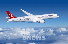 印度尼西亚：三家外国航空公司拟开通飞往巴厘岛的航线