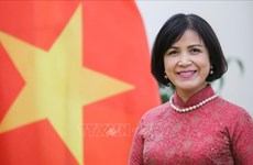 黎氏雪梅大使：范明政总理出席 WEF 2024 展现出越南在国际舞台上的作用、地位的良机