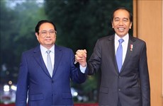 越南政府总理范明政会见印度尼西亚总统佐科·维多多