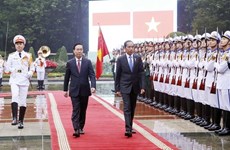 越南国家主席武文赏与印尼总统佐科·维多多举行会谈