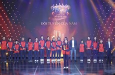 2023年胜利杯表彰越南体育“明星”