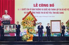 国会主席王廷惠出席北江省越安县级市成立公布仪式