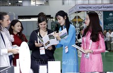 越南赴老参加2024年Travex国际旅游博览会