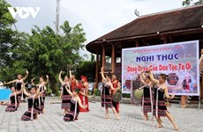 保护和发扬少数民族文化特色：越南坚定不移的政策 