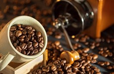 荷兰加大对越南咖啡的进口力度 